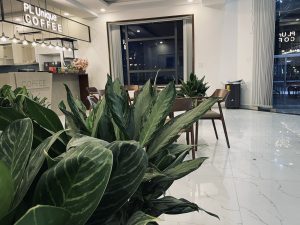 IMG 20220612 140320