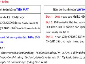 phương thức thanh toán đất nam an lạc