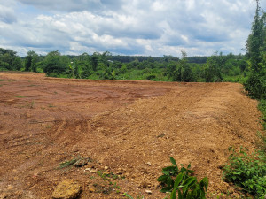 Dat nen Xa Tan Loi Dong Phu Binh Phuoc 1