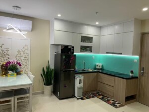 1 VHGP full 43 1