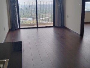 Ehomes Southgate nha trong 01